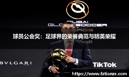 球员公会奖：足球界的荣誉典范与精英荣耀
